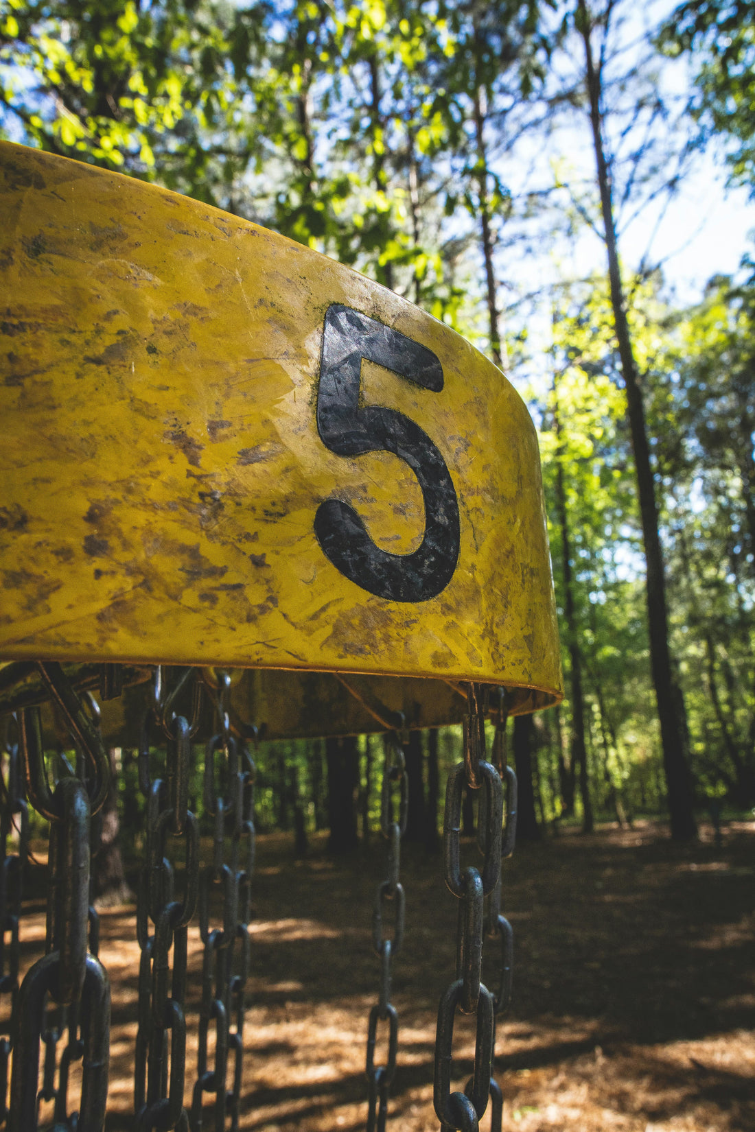 Disc Golf for Beginners: Everything You Need to Know Before Your First Tee